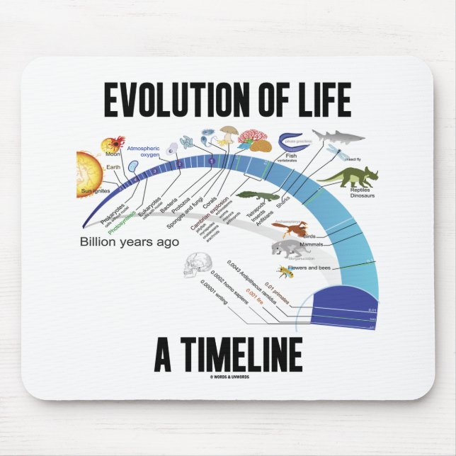 Evolution des Lebens a Timeline (Biologie) Mousepad (Vorne)