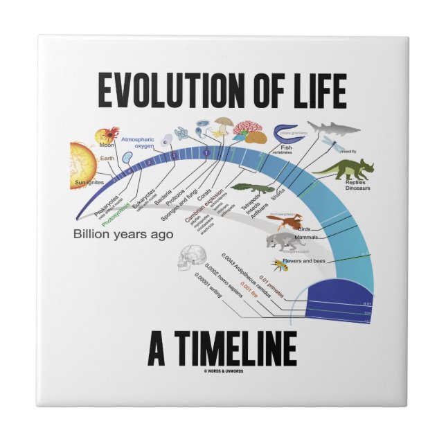 Evolution des Lebens ein Timeline (Biologie) Fliese (Vorderseite)