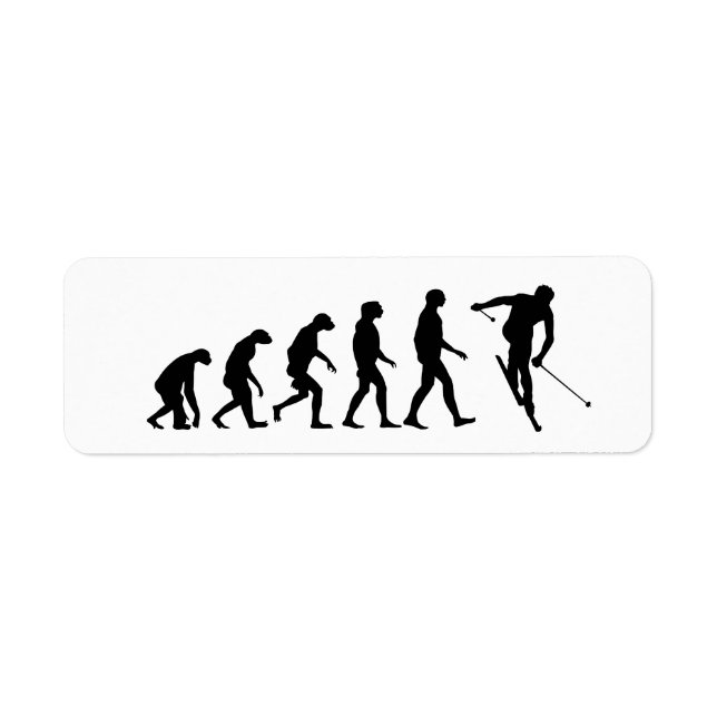 Evolution des Ski (Vorne)