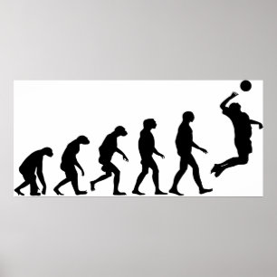 Evolution des Volleyballs Poster