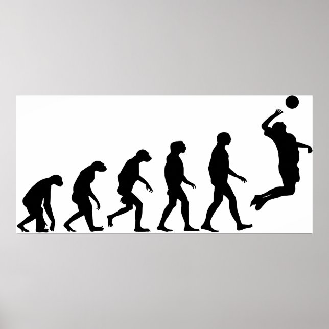 Evolution des Volleyballs Poster (Vorne)