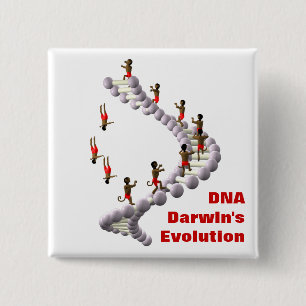 Evolution DNA Darwins Button