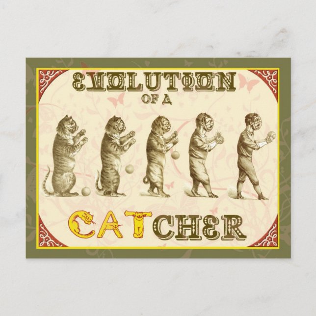 Evolution eines Catchers Postkarte (Vorderseite)