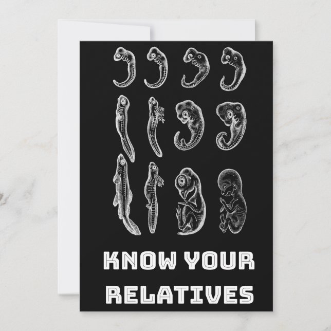 Evolution Embryogenese Feiertagskarte (Vorderseite)