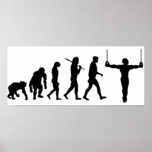 Evolution Gymnastik Gymnasten Sportfan Poster