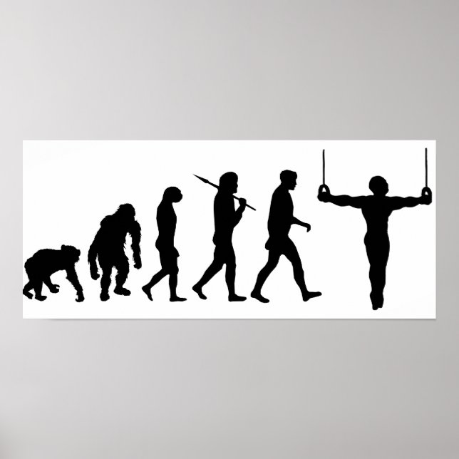 Evolution Gymnastik Gymnasten Sportfan Poster (Vorne)