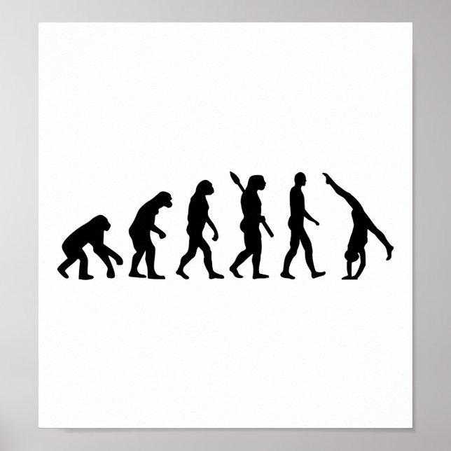 Evolution Gymnastik Poster (Vorne)