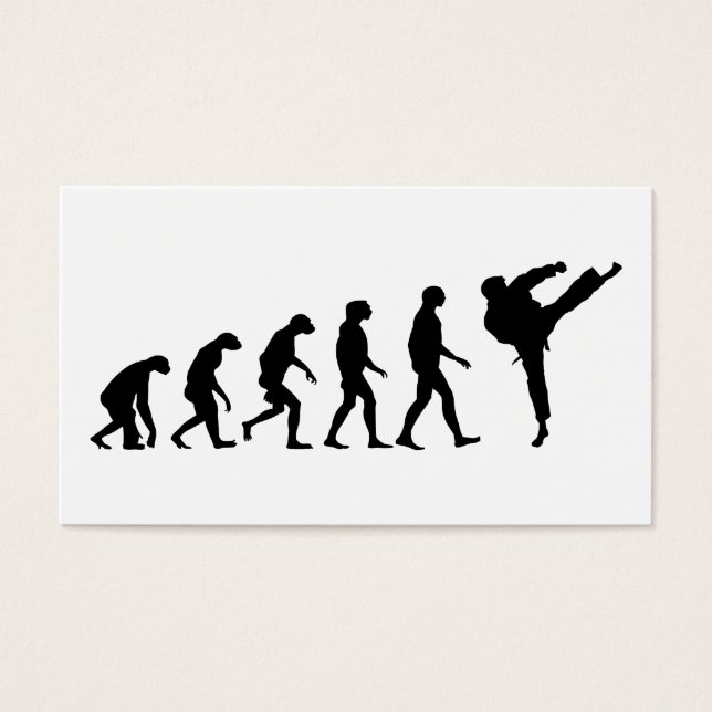 Evolution Karate (Vorderseite)