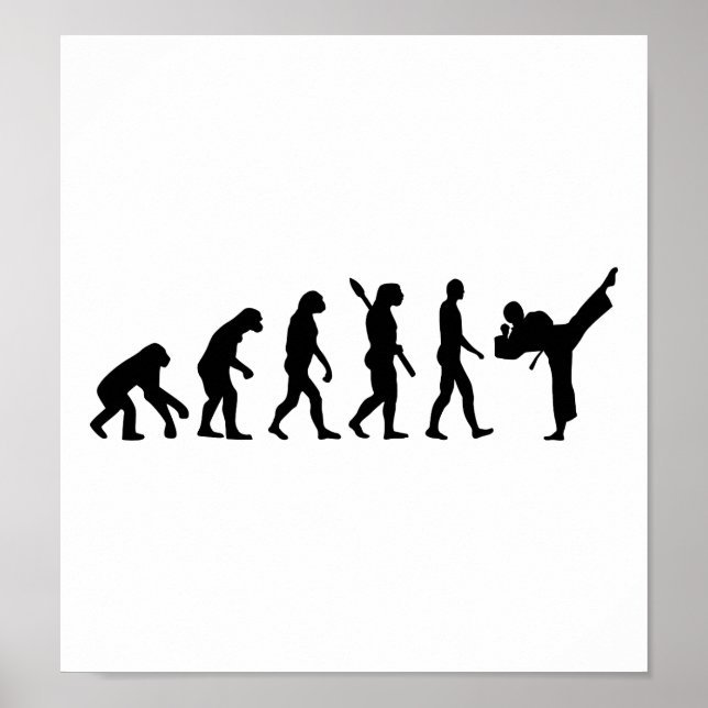 Evolution Karate Kickboxing Poster (Vorne)