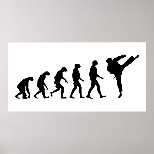Evolution Karate Poster (Vorne)