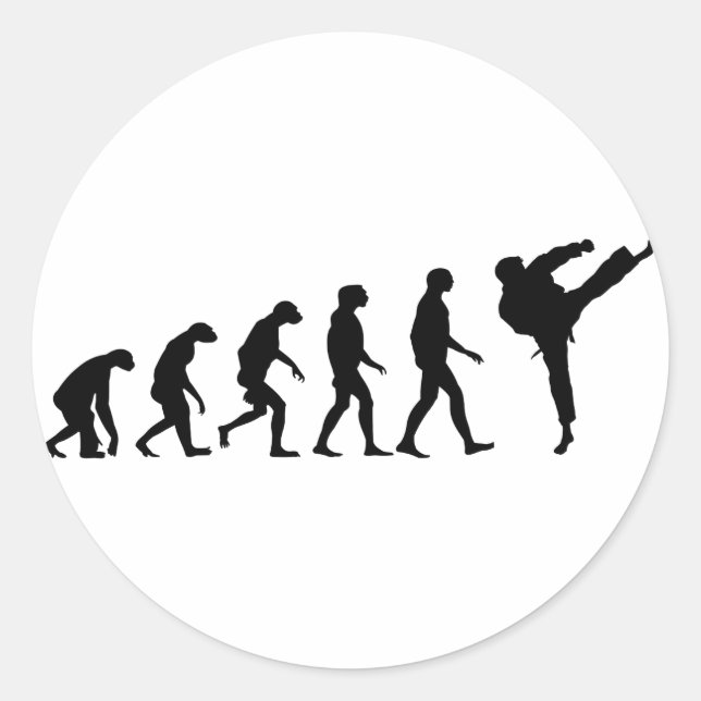 Evolution Karate Runder Aufkleber (Vorderseite)