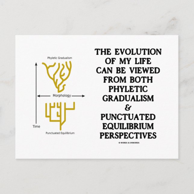Evolution meines Lebens Phyltc Grdlism Punctd Equl Postkarte (Vorderseite)