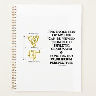 Evolution meines Lebens Punctuated Equilibrium Spa Planer