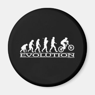 Evolution - Mt. Magnet