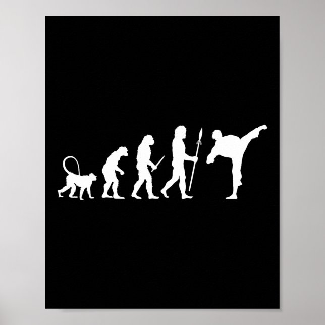Evolution Of Karate  Poster (Vorne)