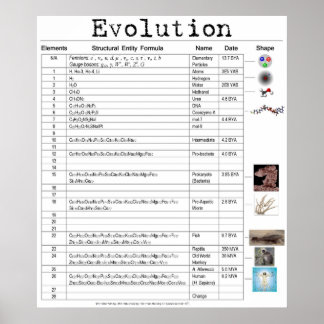 Evolution Poster