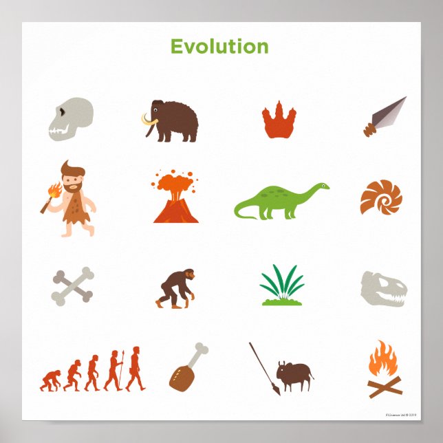 Evolution Poster (Vorne)
