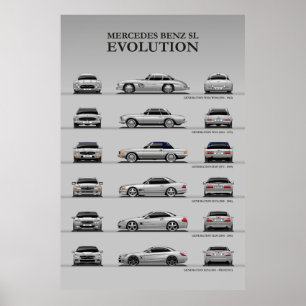Evolution Poster