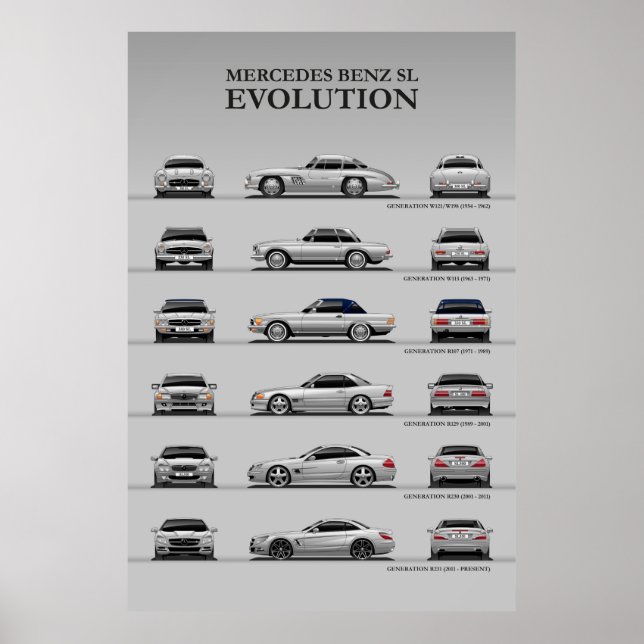 Evolution Poster (Vorne)