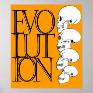 Evolution Poster