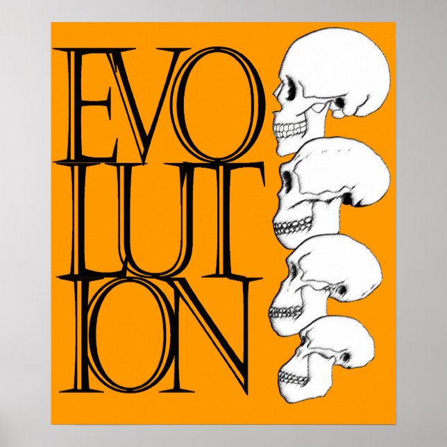 Evolution Poster (Vorne)