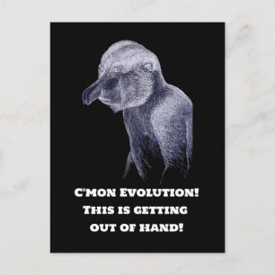 Evolution Postkarte