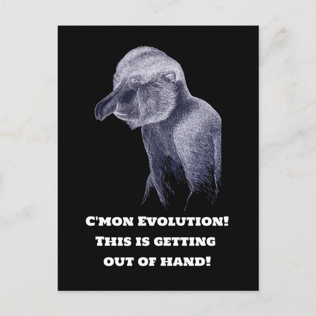 Evolution Postkarte (Vorderseite)