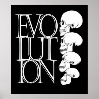 Evolution (schwarz, mit weißem Rand) Poster
