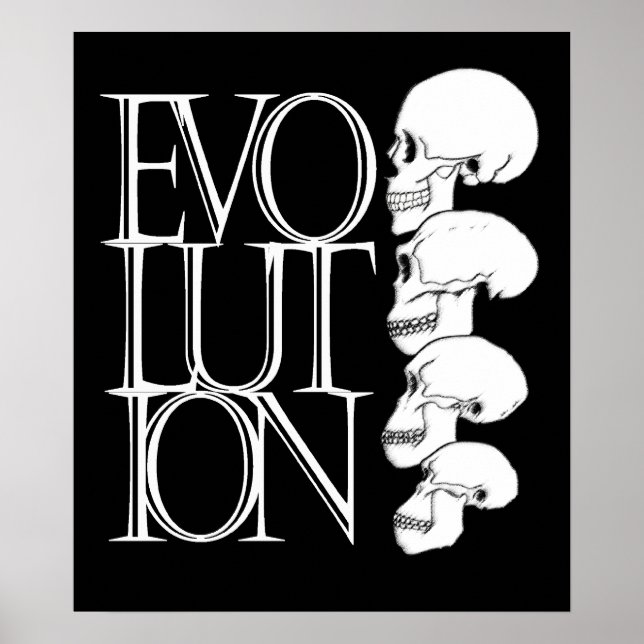 Evolution (schwarz, mit weißem Rand) Poster (Vorne)