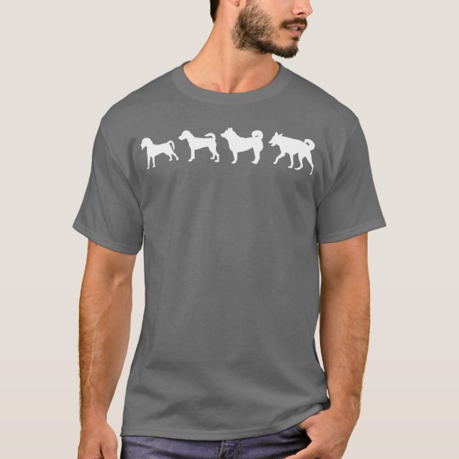 Evolution T-Shirt (Vorderseite)