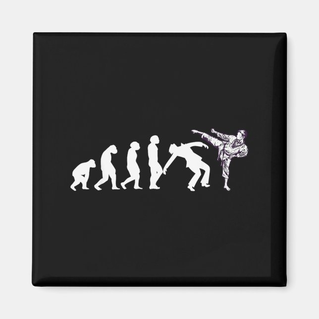 Evolution Taekwondo Karate Aikido Ju Jutsu Kung Fu Magnet (Vorne)