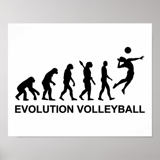 Evolution Volleyball Poster (Vorne)