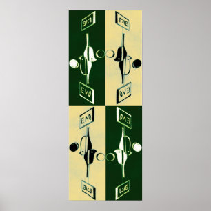 Evolution von Yin und von Yang Poster