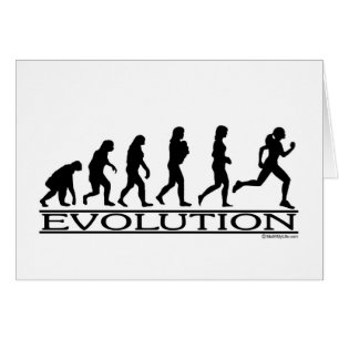 Evolution - weiblicher Betrieb