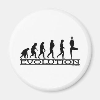 Evolution - Yoga Magnet