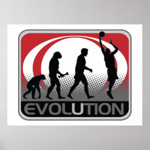 Evolutions-Basketball Poster