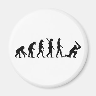 Evolutions-Kricket Magnet