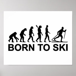 Evolutionsquerfeldeinskifahren Poster