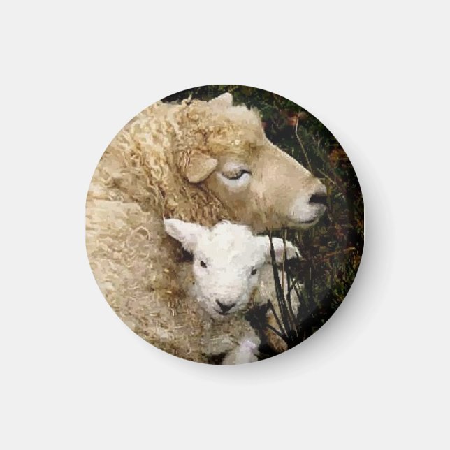 Ewe und Lamb Magnet (Vorne)