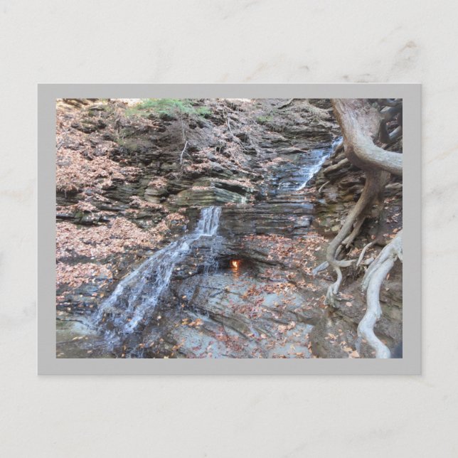 Ewige Flamme am Rücken Postkarte (Vorderseite)