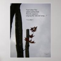 Ewiges Lied: Nature Zen/Tao Poster