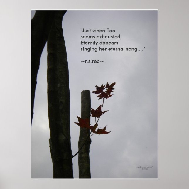 Ewiges Lied: Nature Zen/Tao Poster (Vorne)