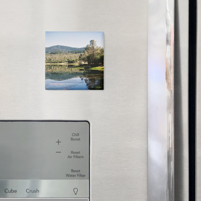 Ewing Reservoir... Magnet (In Situ (Kühlschrank))