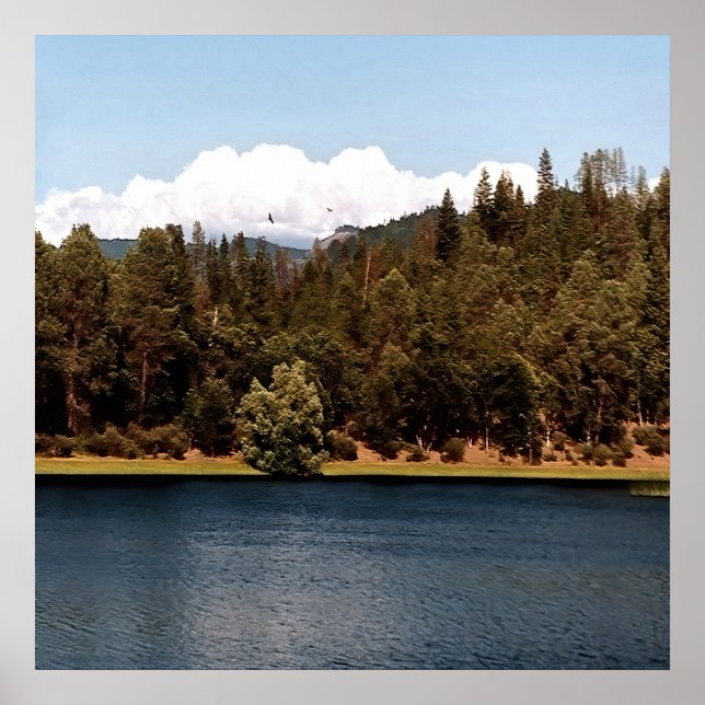 Ewing Reservoir... Poster (Vorne)