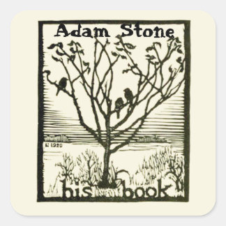 Ex Libris Birds in Tree Quadratischer Aufkleber