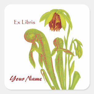 Ex Libris Pitcher Pflanze Buchkleber Quadratischer Aufkleber