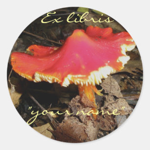 Ex Libris Red Mushroom Stickers zu individualisier