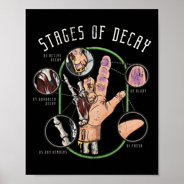 Examiner Halloween Forensics Coroner Geschenk Medi Poster (Vorne)