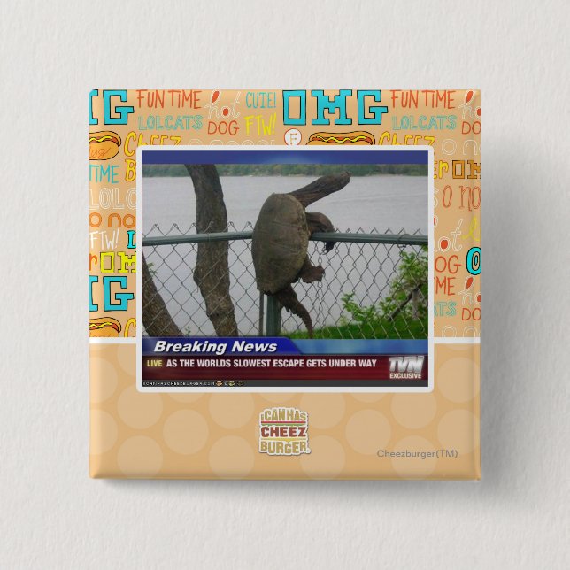 Excaping Schildkröte Button (Vorderseite)