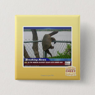 Excaping Schildkröte Button